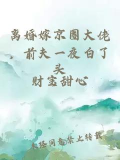 離婚嫁京圈大佬，前夫一夜白了頭