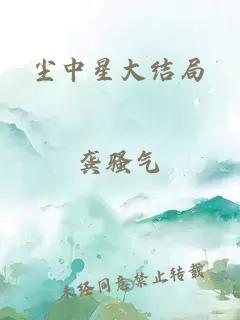 塵中星大結(jié)局